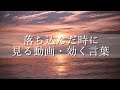 落ち込んだ時に見る動画・効く言葉（福島正伸先生の名言）