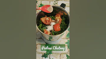 Pudina Chutney Mint Chutney Mint Leaves Chutney Summer Special Recipe Pudinachutney 