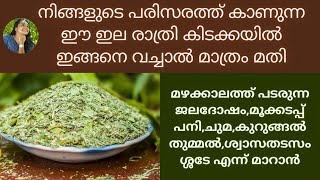 കചചകടടകൾകക മതൽ മതർനനവർകക വര ഈ ഒരററ ഇലയട ഉപയഗ മത മഴകകല രഗങങൾ പമപ കടകകൻ
