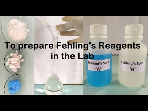 Fehling&rsquo;s Reagent Preparation