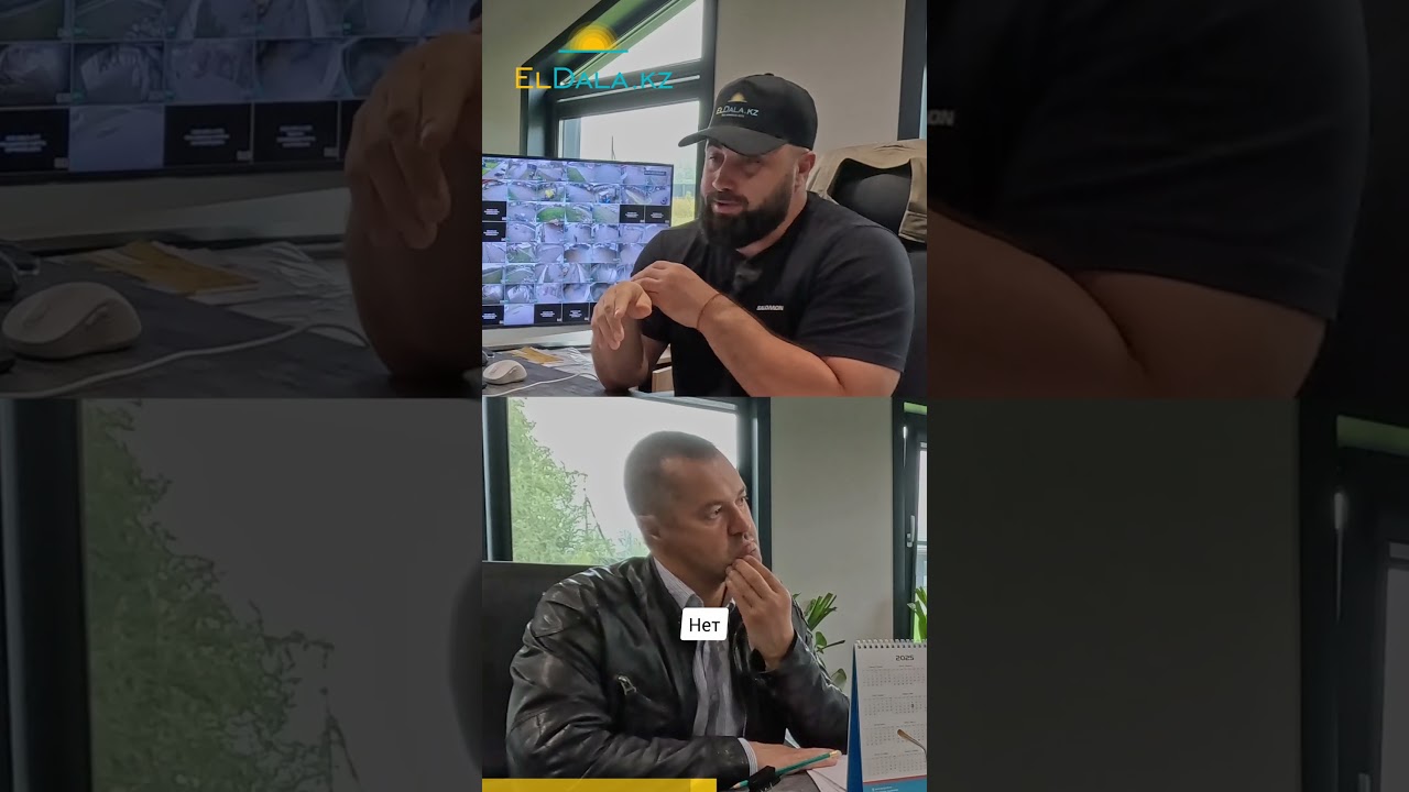 Аграрии Казахстана получили рекордную урожайность пшеницы в 2025