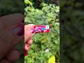 ഇത് സ്ട്രോബെറി ഫ്ലേവർ ആണ് #boomer #kidsasmr #shortsviral #funny #fun #shortsfeed #trend #candies