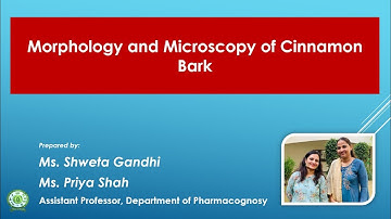 Practical Tutorial_Sem 5_Pharmacognosy&Phytochemistry II_Morphology &Microscopy of Cinnamon_SG-PR
