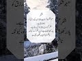 #Zeeshan#Ali#unfeerz my account like kara shar kara follow kara shokria my all farnds