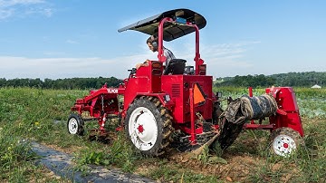 Your Complete Plastic Mulch Solution - Laying, Weeding, Lifting