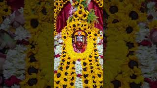 Joy Ma Tara 🙏🏻❤️❤️