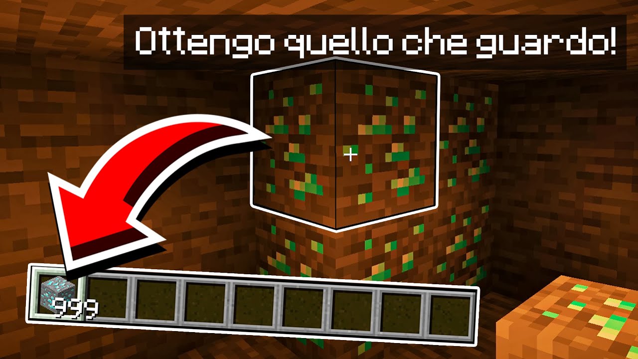 MINECRAFT, MA OTTIENI TUTTI I BLOCCHI CHE GUARDI! - Minecraft Ma