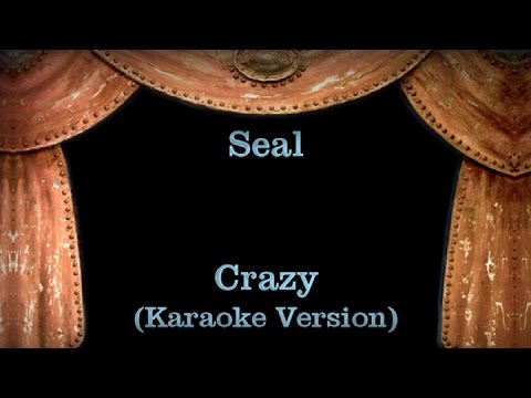 Crazy Clean – Crazy Seal