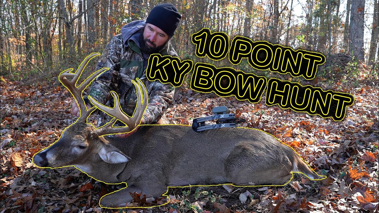 Bowhunting Kentucky 150” 10Point Buck with bow on second encounter