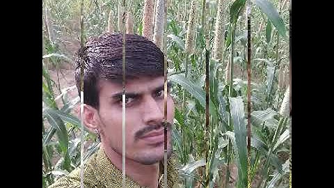 D.raju.patel.anela ..7094833784