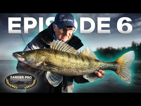 ZANDER PRO - Episode 6