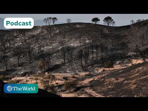 Wildfire tragedy in Spain