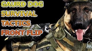Unbelievable Guard Dog Front Flip Survival Tactics COD GHOSTS