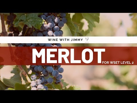 Video: Kami Mempelajari Varietas Anggur: Chardonnay, Cabernet, Merlot, Dll