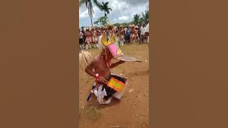 Motor dinas reba mahima ( CACI ) vidio asli tanpa edit