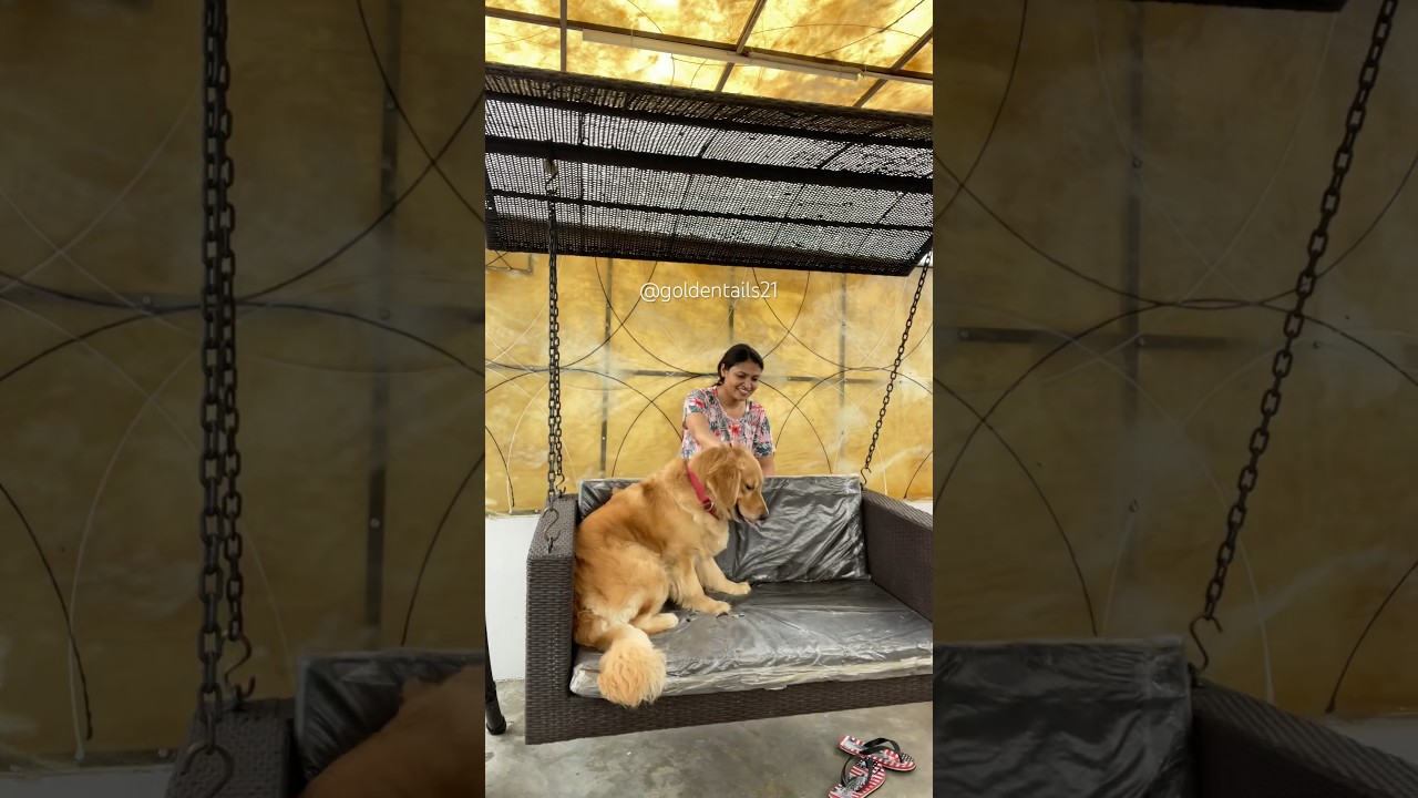 Dog Doesn’t Want To Leave Swing 😝 