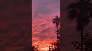 Sky on fire😍 sunset therapy, #skycolor #natureheals #sunsetbeauty