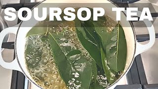 NATURAL SLEEPING AID : SOURSOP TEA AND FRUIT TASTING
Making soursop tea! Delicious herbal tea, flavour of oolong tea. Great for sleeping aid, will give you some of the best sleep of your life.
Also a little review of the Soursop Fruit. NATURAL SLEEPING AID : SOURSOP TEA AND FRUIT TASTING