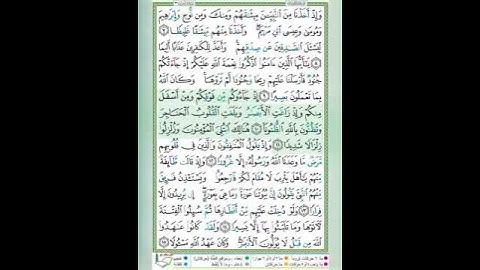 سورة الأحزاب الآيات 10-11 تلاوة الشيخ أيمن سويد #قليل_دائم_خير