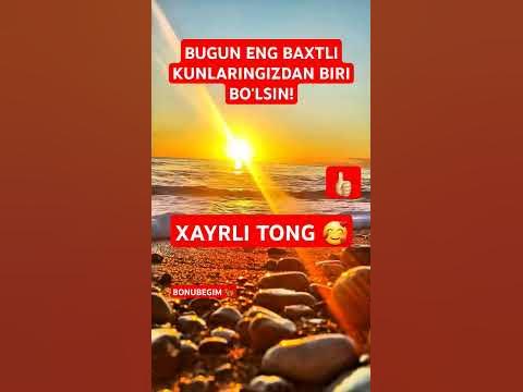 Porno chotka qoyadi Qindan olingan surtmani bakteriologik tekshirish