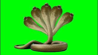 Five Headed Snake on Green Screen | 5 Headed Snake | 5 Headed Snake on Green Screen #naagin6 #hbinfo