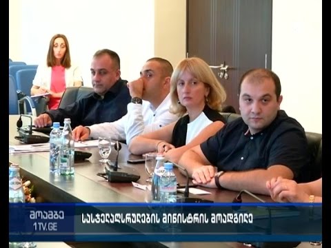 სასჯელაღსრულების მინისტრის პირველ მოადგილედ თამარ ხულორდავა დაინიშნა