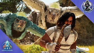 I Finally Tamed My Argy + Alpha Raptor Scuffle! | ARK: Survival Ascended [E5]