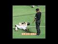 選手を吹き飛ばした審判「史上最も横Oな審判」に日本中のファンが激怒 しかし最後の結末には誰もが痛快だと叫んだ