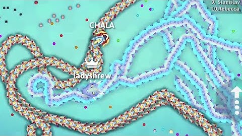 Top 01 Snake vs My Tiny Snake Snake.io Epic Snake.io Gameplay #snake #chala