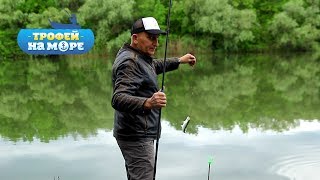 видео: Трофей на море. 2 серия. Селедка картинка: Трофей на море. 2 серия. Селедка