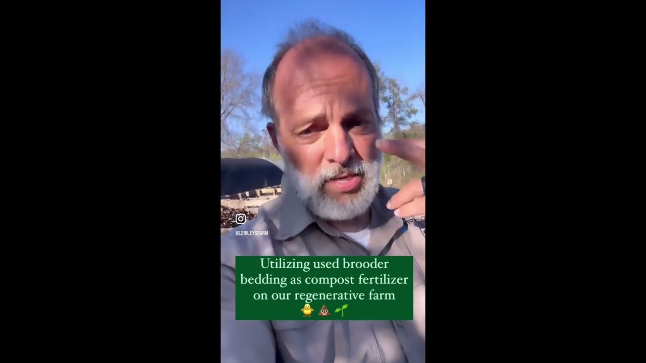 A Compost Journey- from chicken brooder to garden 