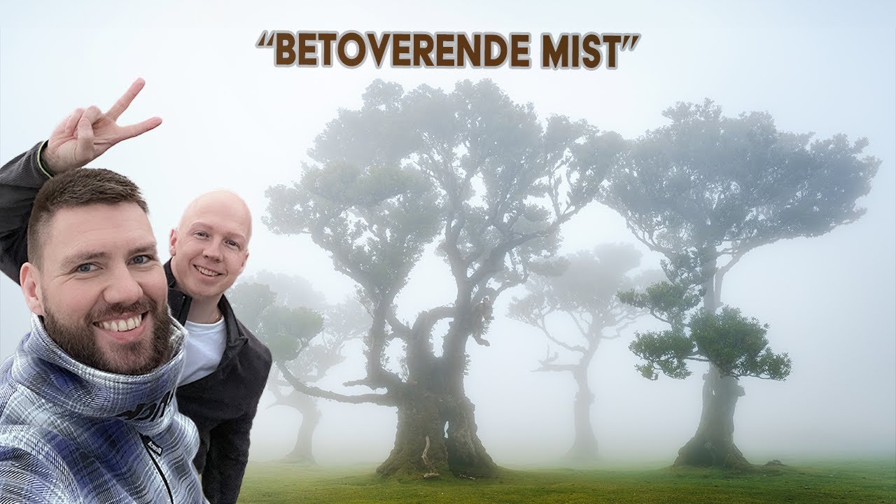 Bosfotografie in Fanal - Madeira