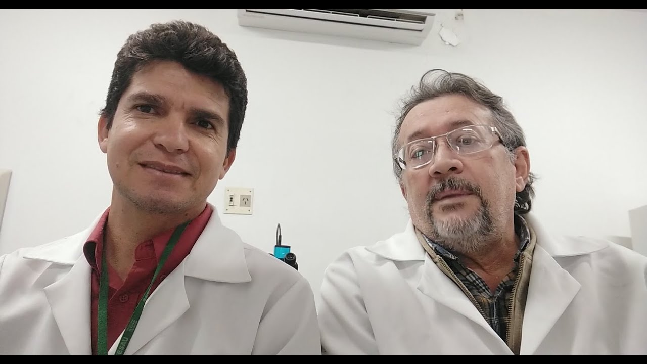 Como diferenciar um Linfócito de um Blasto?