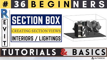 #36 Beginners / SECTION BOX IN REVIT/ Creating Section / Revit Tutorials & Basics / #revit