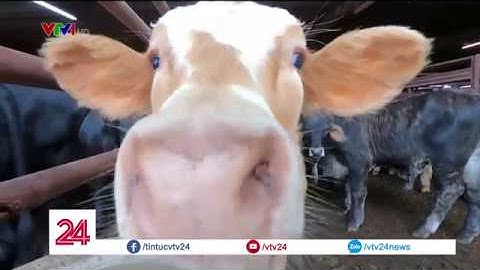 Thay đổi phương thức sản xuất nông nghiệp để chống biến đổi khí hậu | VTV24