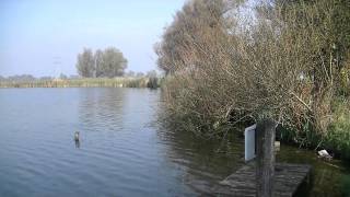 Download Lagu ZenScape001 Lake the Ham Krommenie MP3