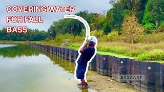 Florida Pond Hopping(Surprise Catch) Bank Fishing