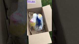 Мій набір для догляду за виноградом @DOLINAua