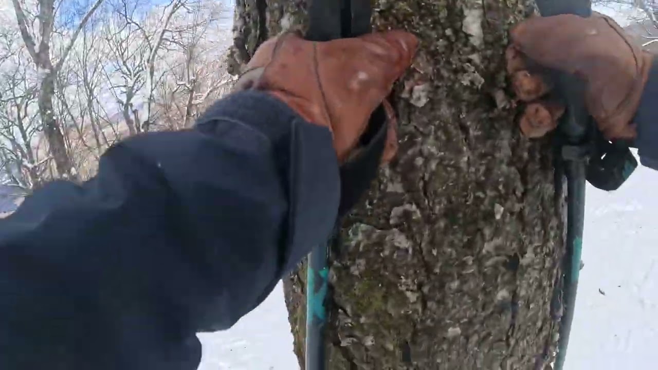 Double black Winnisook glades solo trail Belleayre mountain