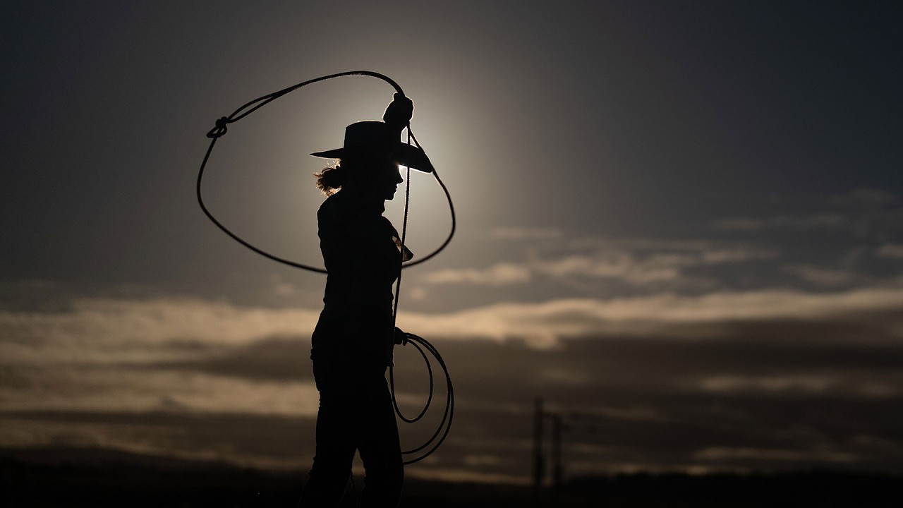 Braw Beard x Bad Cowgirl | Что может пойти не так? | Braw Beard (2026)