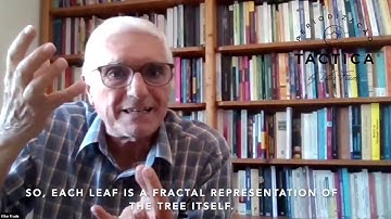 Professor Vítor Frade - Geometria Fractal/Fractal Geometry - Tactical Periodisation®