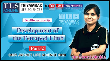 𝐃𝐞𝐯𝐞𝐥𝐨𝐩𝐦𝐞𝐧𝐭 𝐨𝐟 𝐭𝐡𝐞 𝐓𝐞𝐭𝐫𝐚𝐩𝐨𝐝 𝐋𝐢𝐦𝐛 "𝐏𝐚𝐫𝐭-𝟐"