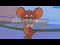 【洋楽】夜のドライブで聴きたい洋楽🌉playlist