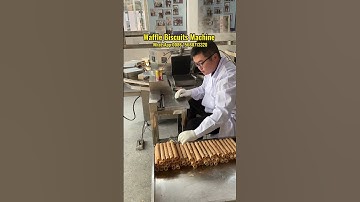Waffle Biscuits Machine | Waffle Cookies Machine | Wafer Rolls Maker Machine