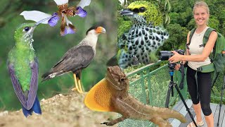 Costa Rica, San Vito - Biodiverse Mountains With Incredible Birding