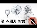 초보자를 위한 꽃 스케치 수업 / 꽃 잘 그리는 방법, 식물스케치