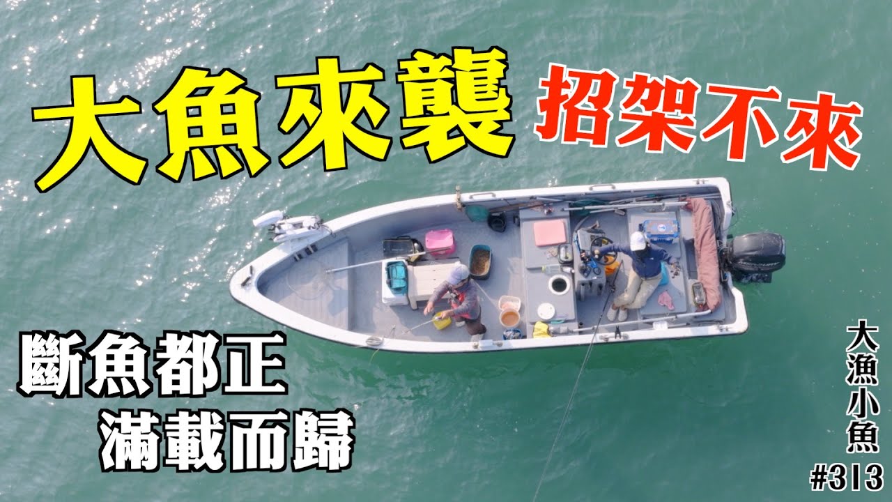 大魚來襲 招架不來 斷魚都正 滿載而歸┃