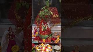 Tulsi vivah 2023||Tulsi vivah||Jai Tulsi Mata #viral #trending #trendingshorts #shorts #tulsivivah