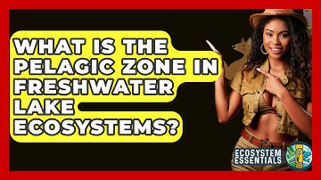 What Is The Pelagic Zone In Freshwater Lake Ecosystems? - Ecosystem Essentials