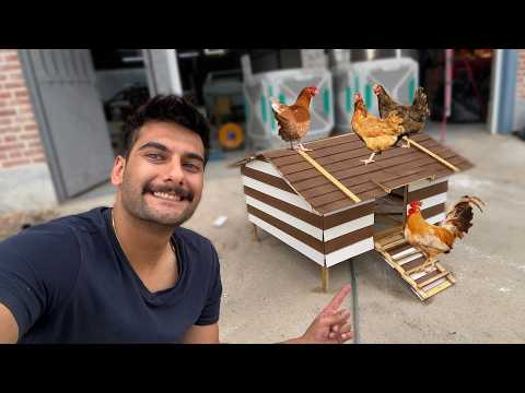 مرغ دونی ساختم